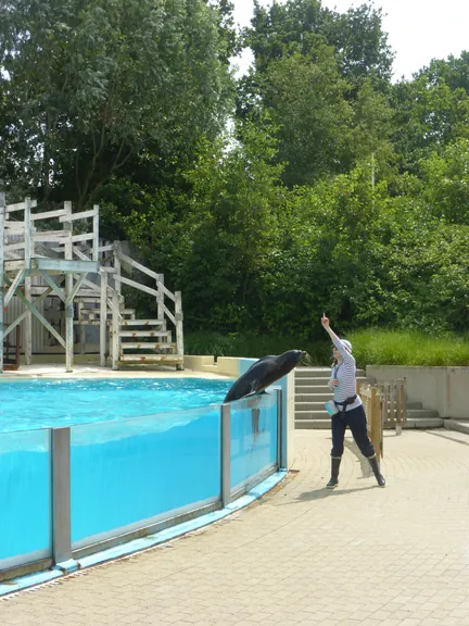 Boudewijn Seapark in Brugge (België)